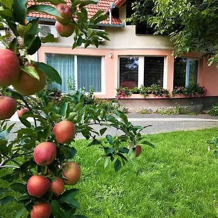 Szita Apartman Apartment *